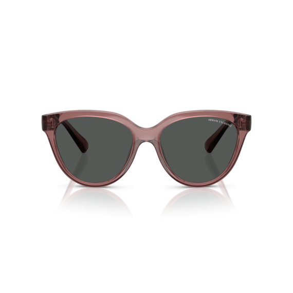 Armani Exchange AX 4148SU 835987 Güneş Gözlüğü, Resim 4