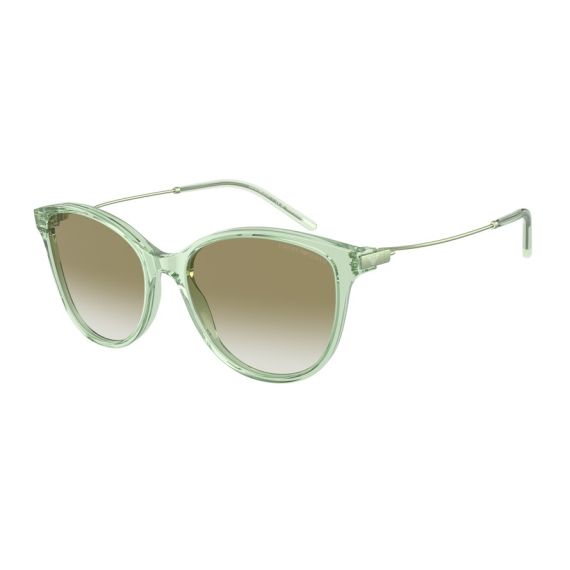 Emporio Armani EA 4220 61078E Güneş Gözlüğü, Resim 6