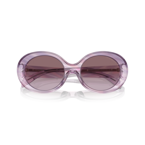 Emporio Armani EA 4231U 61558H Güneş Gözlüğü, Resim 5