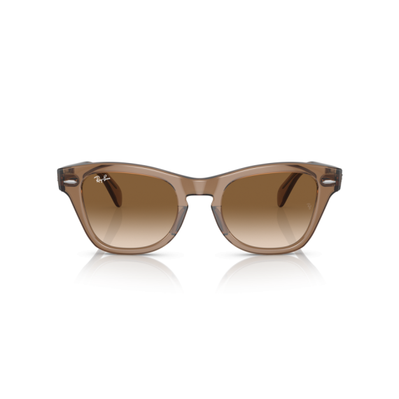 Ray-Ban RB 0707S 664051 Güneş Gözlüğü, Cinsiyet: Unisex, Ekartman: 53, Resim 6