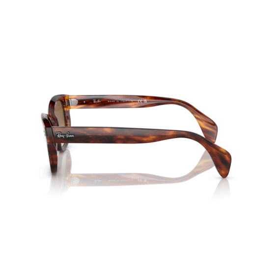 Ray-Ban RB 0880S 954/51 Güneş Gözlüğü, Resim 2
