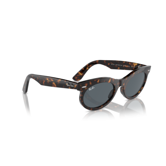 Ray-Ban RB 2242 902/R5 Güneş Gözlüğü, Cinsiyet: Unisex, Ekartman: 53, Resim 4