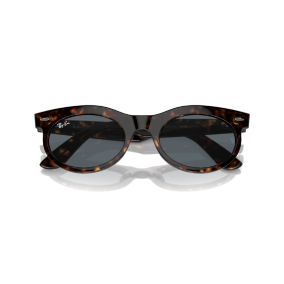 Ray-Ban RB 2242 902/R5 Güneş Gözlüğü, Cinsiyet: Unisex, Ekartman: 53, Resim 6