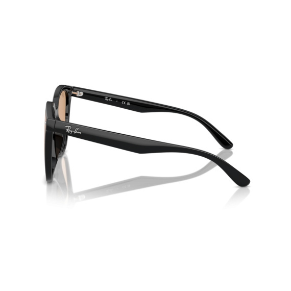 Ray-Ban RB 4423D 601/93 Güneş Gözlüğü, Resim 2