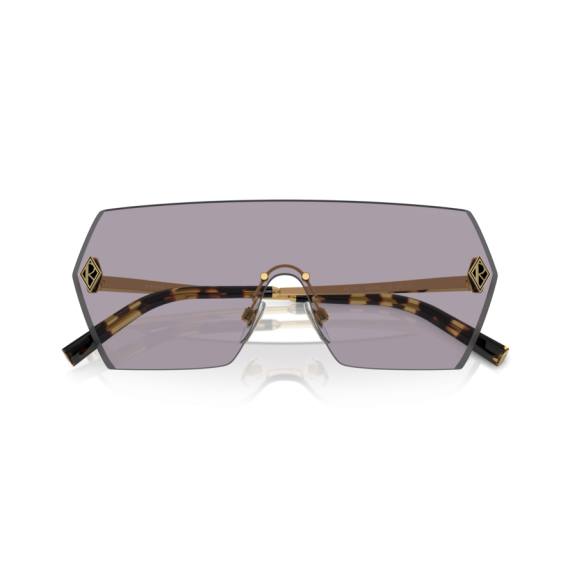 Ralph Lauren RL 7085 9004AK Güneş Gözlüğü, Resim 5