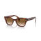 Ray-Ban RB 0880S 954/51 Güneş Gözlüğü
