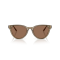 Jimmy Choo JC 5043D 505173 Güneş Gözlüğü, Resim 4