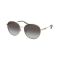 Michael Kors MK 1119 10148G Güneş Gözlüğü, Resim 6