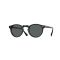 Oliver Peoples OV 5217S 1031P2 Güneş Gözlüğü, Cinsiyet: Unisex, Ekartman: 50, Resim 7