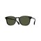 Oliver Peoples OV 5298SU 167752 Güneş Gözlüğü, Cinsiyet: Unisex, Ekartman: 51, Resim 7