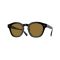 Oliver Peoples OV 5382SU 100573 Güneş Gözlüğü, Resim 7