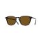 Oliver Peoples OV 5414SU 172283 Güneş Gözlüğü, Resim 7