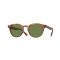 Oliver Peoples OV 5454SU 14834E Güneş Gözlüğü, Resim 7