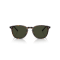 Oliver Peoples OV 5491SU 1741P1 Güneş Gözlüğü, Cinsiyet: Unisex, Ekartman: 48, Resim 6