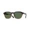 Oliver Peoples OV 5593S 13929A Güneş Gözlüğü, Resim 7