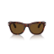 Persol PO 0086S 24/57 Güneş Gözlüğü, Cinsiyet: Unisex, Ekartman: 57, Resim 5