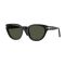 Persol PO 3379S 95/31 Güneş Gözlüğü, Cinsiyet: Unisex, Ekartman: 54, Resim 7