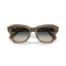 Ray-Ban RB 2186 140571 Güneş Gözlüğü, Cinsiyet: Unisex, Ekartman: 49, Resim 6