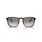 Ray-Ban RB 2203 901/32 Güneş Gözlüğü, Cinsiyet: Unisex, Ekartman: 52, Resim 5