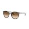 Ray-Ban RB 2204 143151 Güneş Gözlüğü, Cinsiyet: Unisex, Ekartman: 51, Resim 7