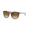 Ray-Ban RB 2204 902/51 Güneş Gözlüğü, Cinsiyet: Unisex, Ekartman: 54, Resim 7