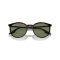 Ray-Ban RB 2204 902/GJ Güneş Gözlüğü, Cinsiyet: Unisex, Ekartman: 51, Resim 5