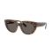 Ray-Ban RB 2286 1292B1 Güneş Gözlüğü, Cinsiyet: Kadın, Ekartman: 49, Resim 7