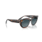 Ray-Ban RB 2286 1413S3 Güneş Gözlüğü, Cinsiyet: Kadın, Ekartman: 49, Polarize: Evet, Resim 4