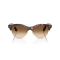 Ray-Ban RB 2341 143251 Güneş Gözlüğü, Cinsiyet: Unisex, Ekartman: 51, Resim 5