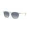 Ray-Ban RB 4171 67434L Güneş Gözlüğü, Resim 7