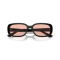 Ray-Ban RB 4421D 667784 Güneş Gözlüğü, Resim 6