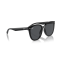 Ray-Ban RB 4423D 601/87 Güneş Gözlüğü, Resim 4