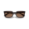 Ray-Ban RB 4439D 623173 Güneş Gözlüğü, Resim 6