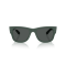 Ray-Ban RB 4840S 665787 Güneş Gözlüğü, Cinsiyet: Unisex, Ekartman: 50, Resim 5