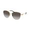 Ralph Lauren RL 7079 90048G Güneş Gözlüğü, Resim 6