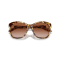 Ralph Lauren RL 8190Q 605613 Güneş Gözlüğü, Resim 5
