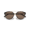 Ralph Lauren RL 8210 50025W Güneş Gözlüğü, Resim 5