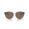 Ralph Lauren RL 8210 50025W Güneş Gözlüğü, Resim 4