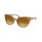 Ralph Lauren RL 8215BU 60832L Güneş Gözlüğü, Resim 6