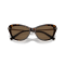 Ralph Lauren RL 8224U 500373 Güneş Gözlüğü, Resim 5