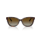 Tiffany TF 4237B 8015T5 Güneş Gözlüğü, Resim 4