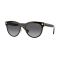 Versace VE 2198 1002T3 Güneş Gözlüğü, Resim 6