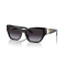 Ralph Lauren RL 8206U 50018G Güneş Gözlüğü