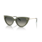Tiffany TF 4195 835811 Güneş Gözlüğü