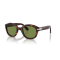 Persol PO 0060S 24/4E Güneş Gözlüğü, Cinsiyet: Kadın, Ekartman: 50