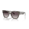 Ralph Lauren RL 8221 617511 Güneş Gözlüğü