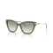 Emporio Armani EA 4251 62642C Güneş Gözlüğü