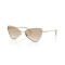 Jimmy Choo JC 4015HB 300611 Güneş Gözlüğü