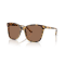 Ralph Lauren RL 8201 500473 Güneş Gözlüğü