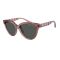Armani Exchange AX 4148SU 835987 Güneş Gözlüğü, Resim 6